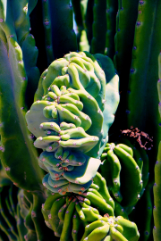 20190420_004300N1WEB