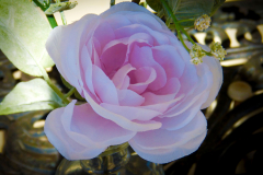 P1100202N1web