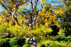 20130104_235526N1websize
