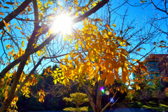 20130104_235629N1websize