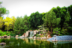 20150228_141854_1websize