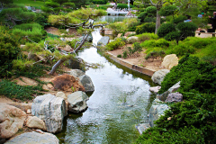 20150228_142353_1websize