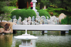20150228_142452_1websize