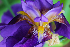 20150228_142856_1websize