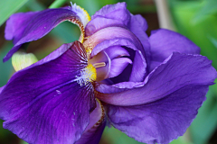 20150228_142911_1websize