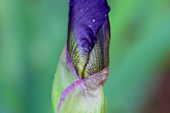 20150228_142924_1websize