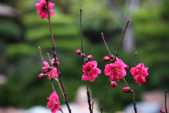 20150228_142941_1websize