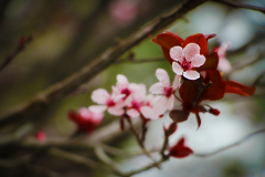20150228_143841_1N1websize
