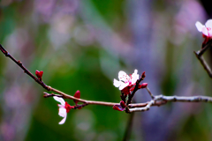 20150228_143847_1N1websize