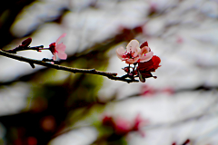 20150228_143858_1N1websize