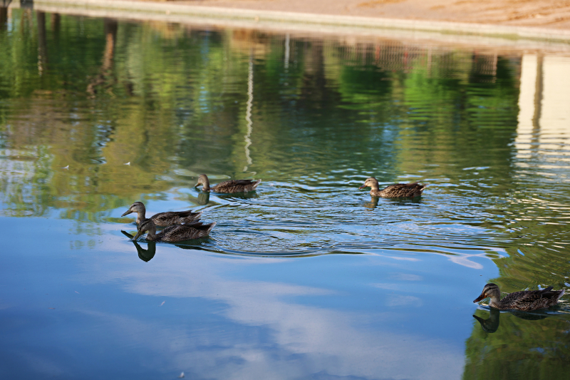 20220703_190059N1web