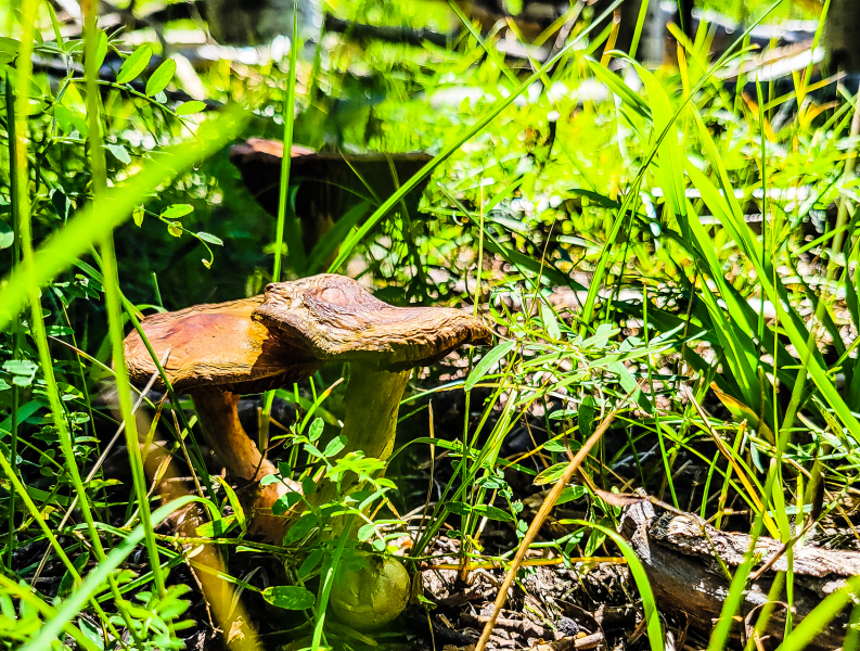 20220903_115336N1web