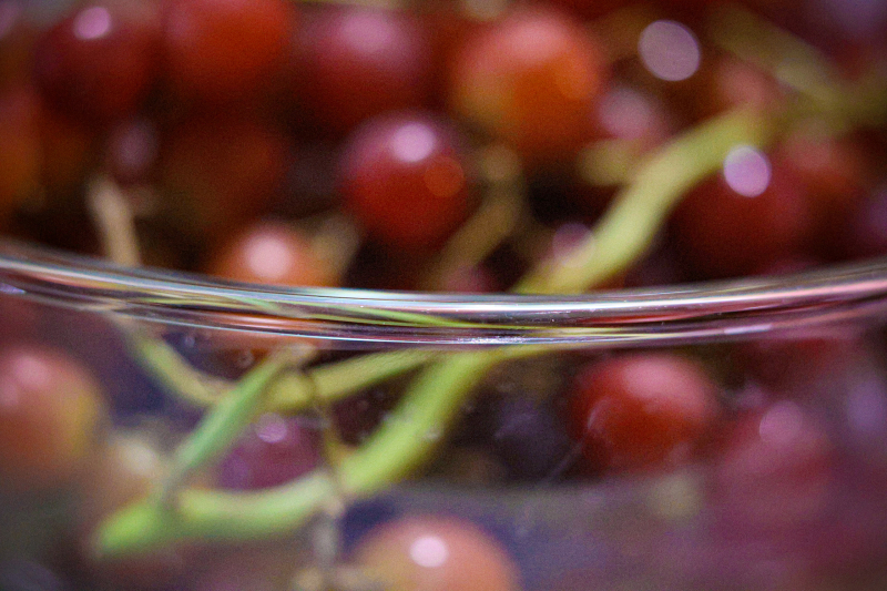 846A0566N1web
