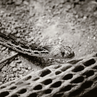 20220327_100309_N1web