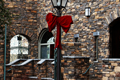 20151204_144940N1websize