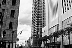 20150228_145732_2N1websize