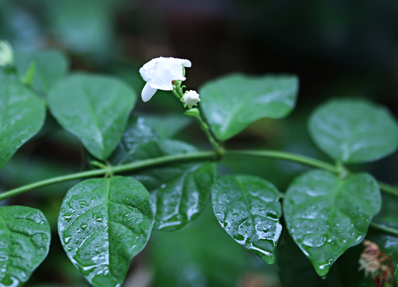 846A0412N1web
