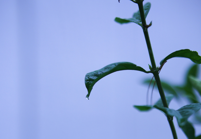 846A0413N1web