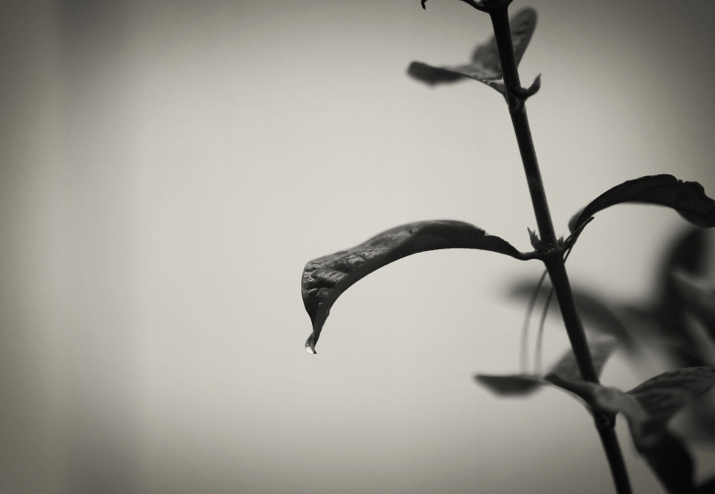 846A0413N2web