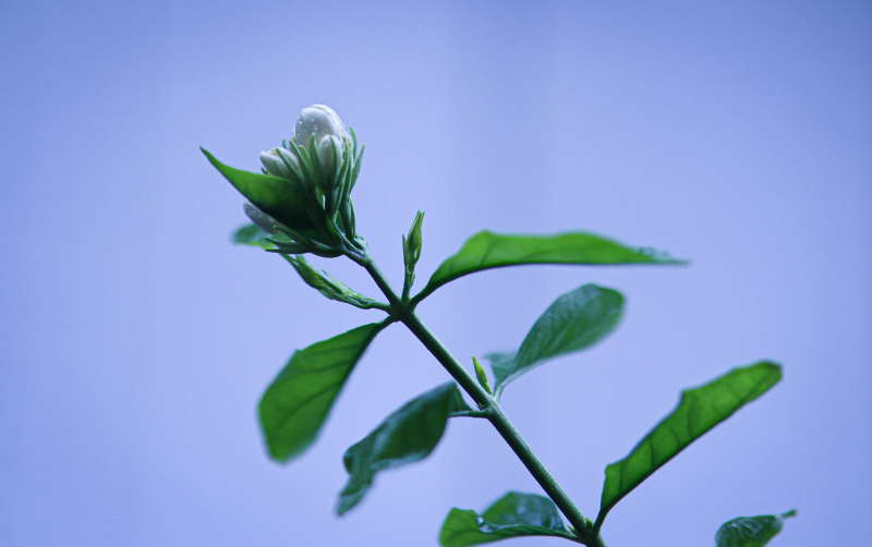 846A0415N1web
