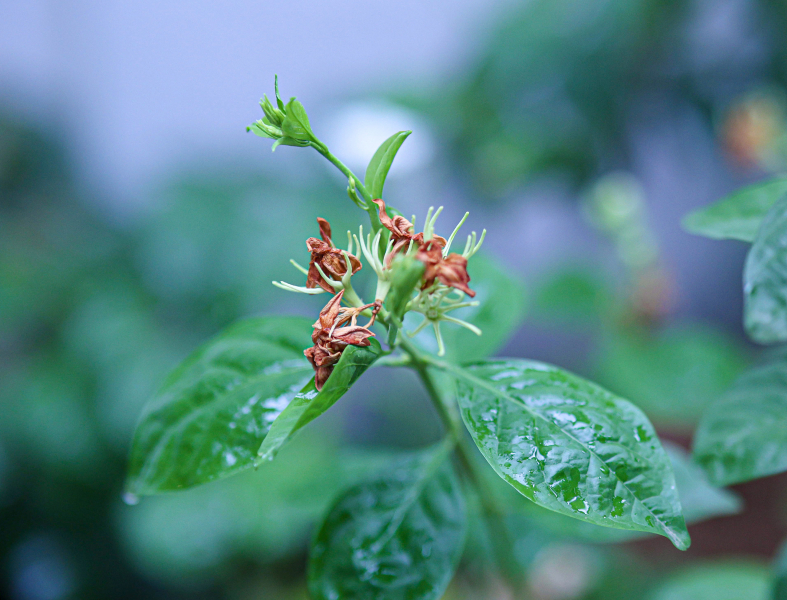 846A0416N1web