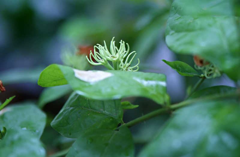 846A0417N1web