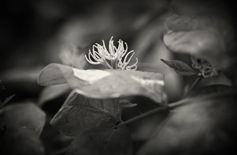 846A0417N2web
