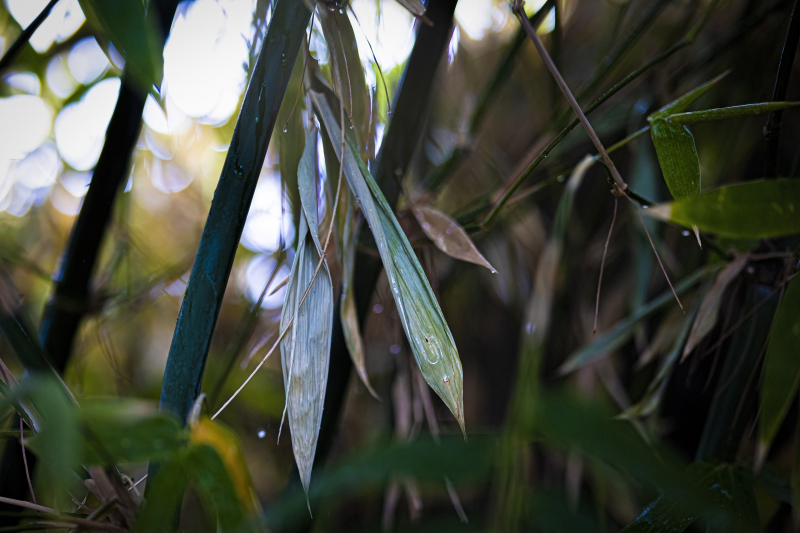 846A0423N1web