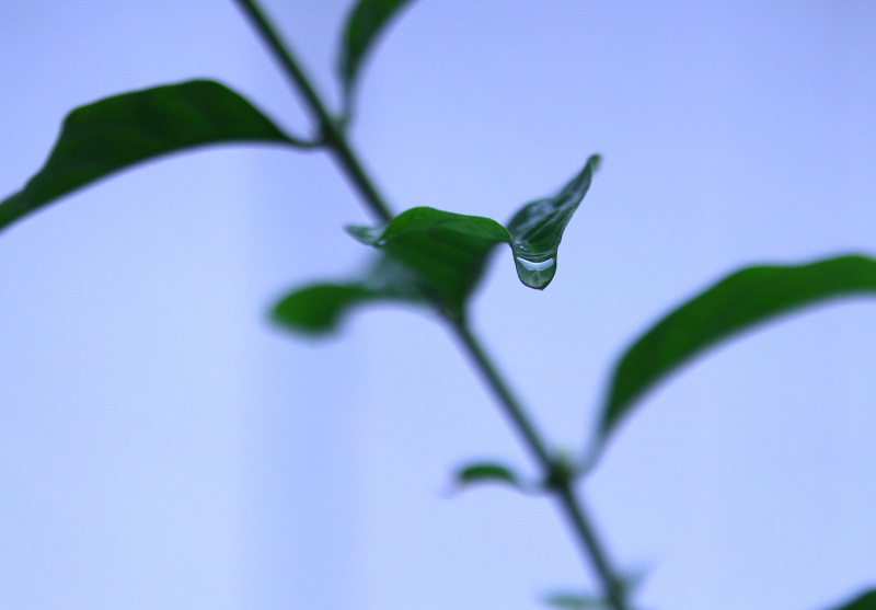 846A0428N1web