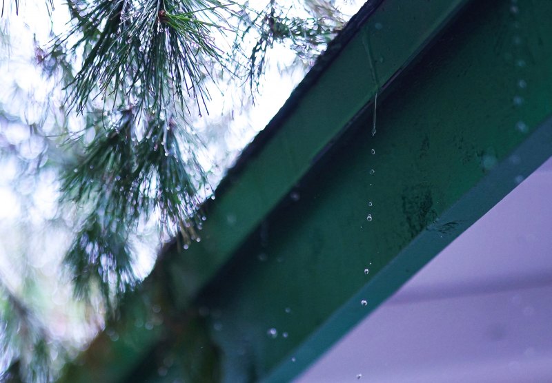 846A0433N1web
