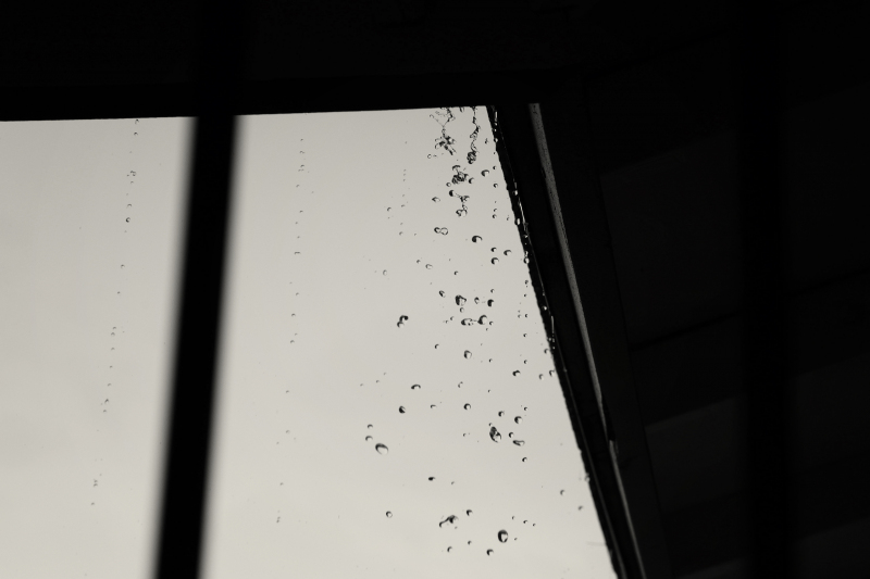 846A0441N1web