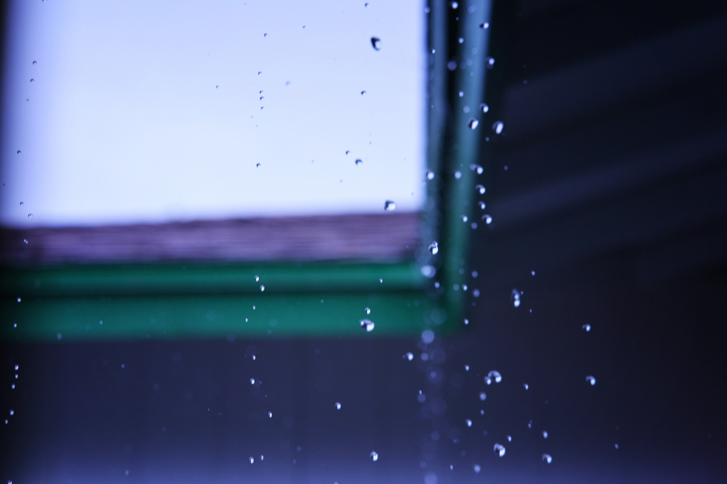 846A0442N1web