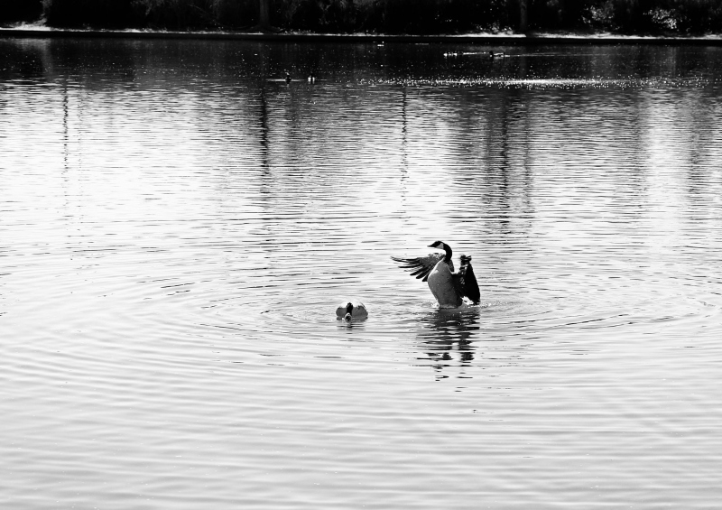 20200216_001232N1web