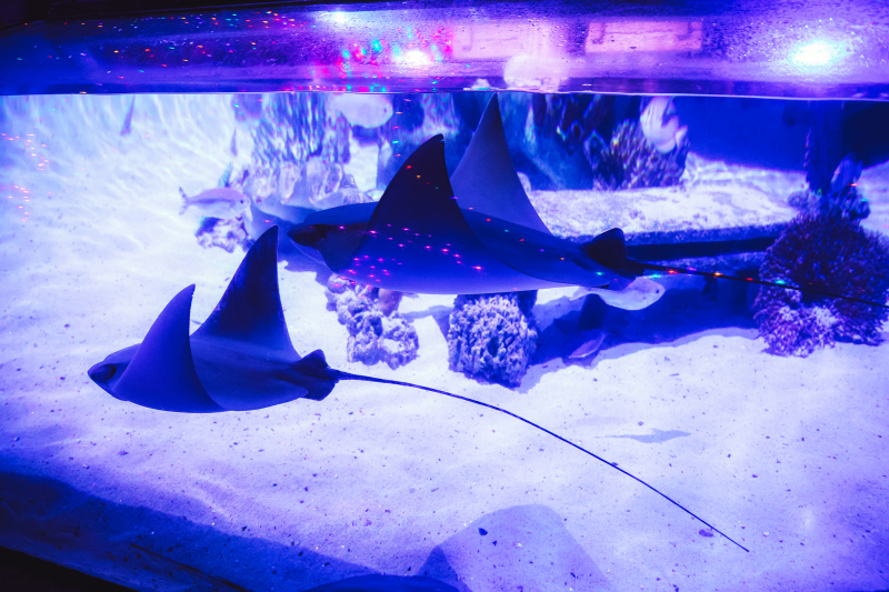 846A1276-N1web