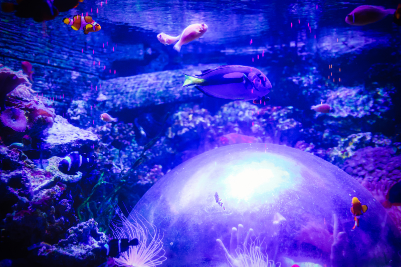 846A1292-N1web