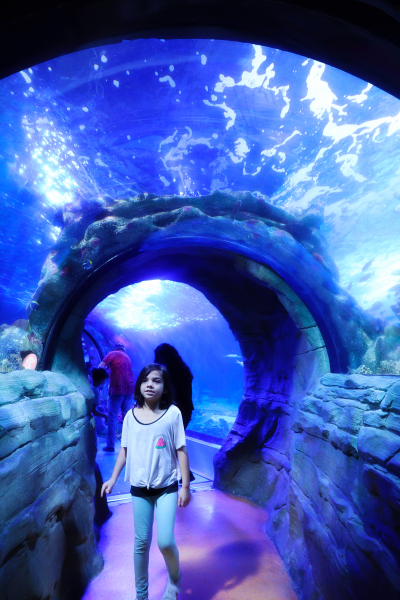 846A1344-N1web