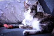 846A0952-N1web