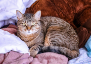 846A0963-N1web