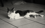 846A0970-N1web
