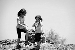 20170527_121648N1websize