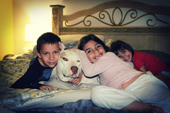 20150703_173550N1websize