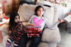 20151225_134419Nik1websize