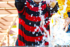 20151230_134929N1websize