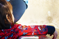 20151230_135134N1websize