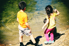 20160319_133336N1websize