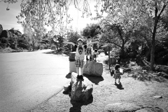 20160319_150120N1websize