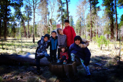 20160507_104410N1websize