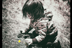 20160507_120229N2websize