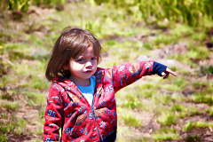 20160507_125316N1websize