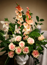 20211015_080127-copyweb